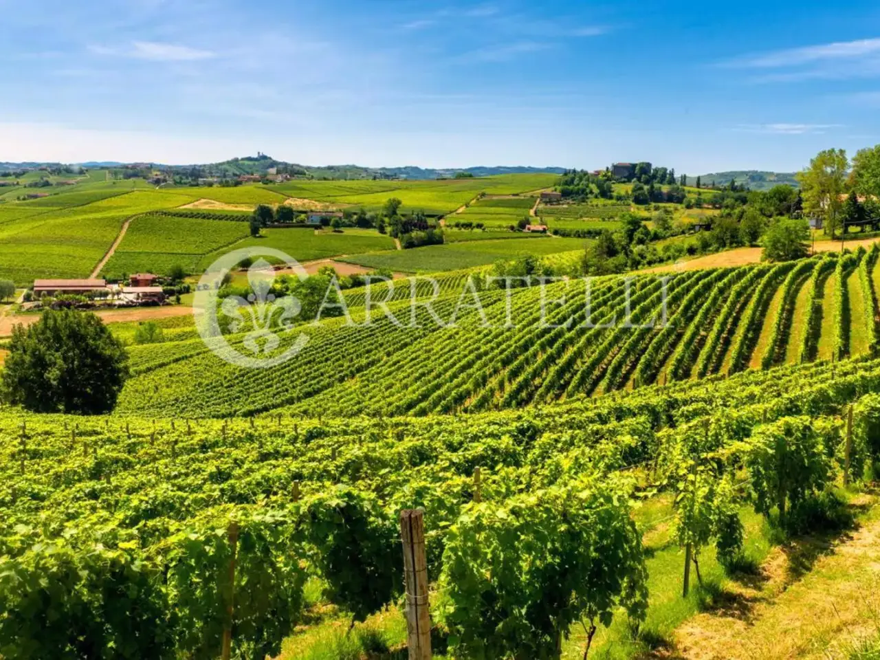 Azienda agricola in Strada di Petrognano 25, Barberino Tavarnelle, {3} - Foto 1