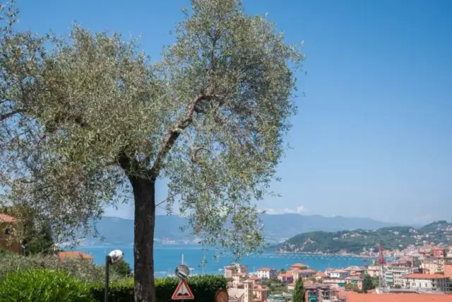 Appartamento in Terza Traversa Località Carbognano 11, Lerici - Foto 1