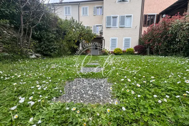 insertion image