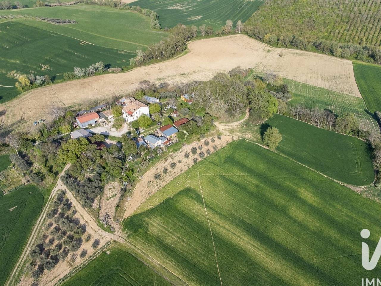 immagine annuncio 3 di 14