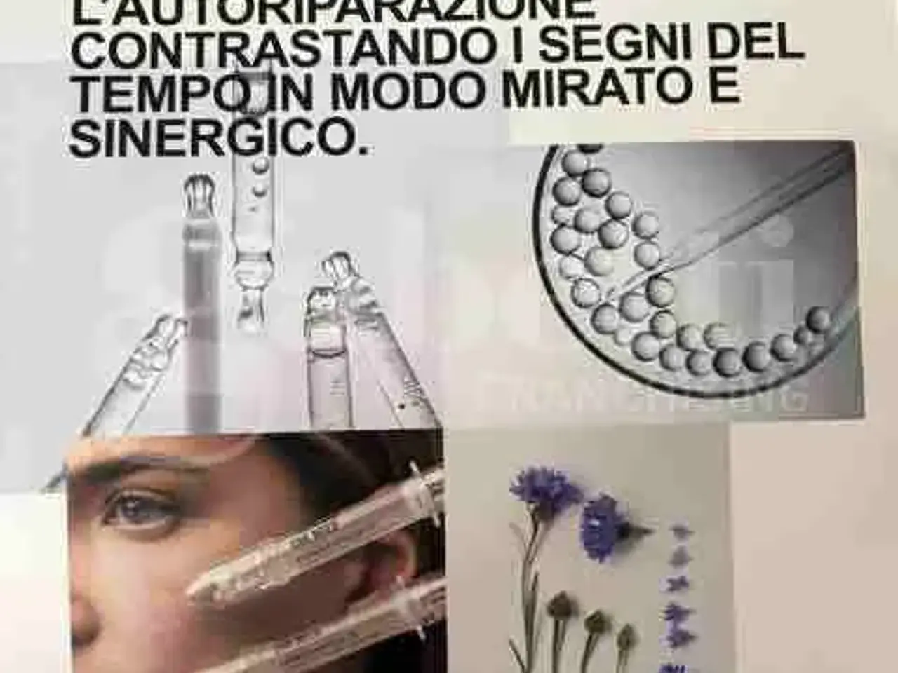 Esercizio commerciale in Via Nazionale Snc, San Martino Buon Albergo, {3} - Foto 1