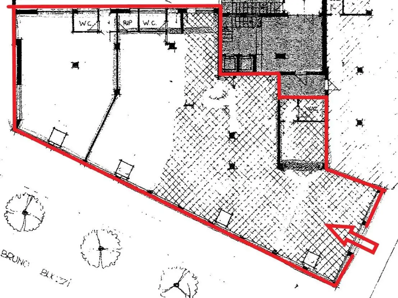 Negozio in Via Bruno Buozzi, Casale Monferrato, {3} - Planimetria 1