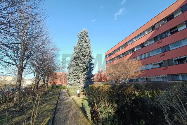 insertion image