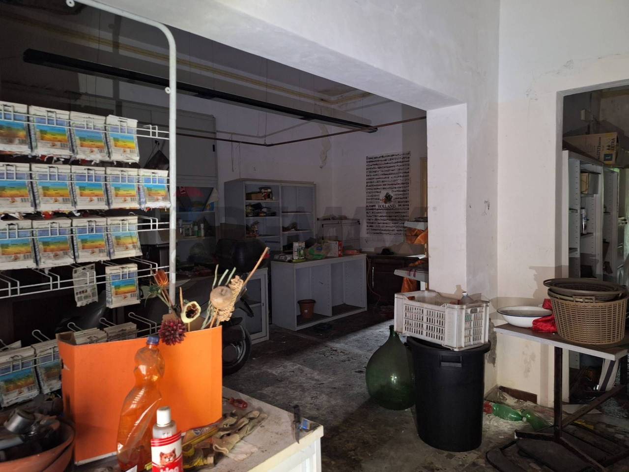 immagine annuncio 4 di 13