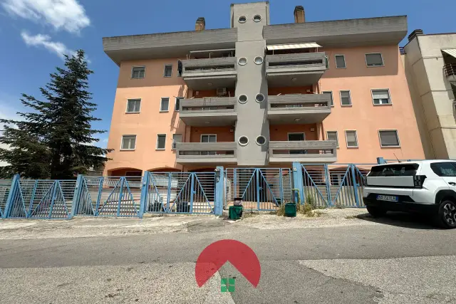 insertion image