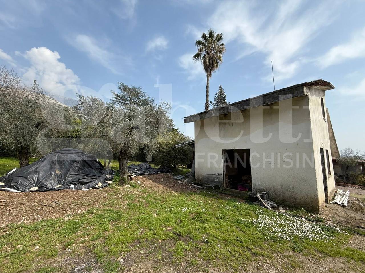 immagine annuncio 1 di 14