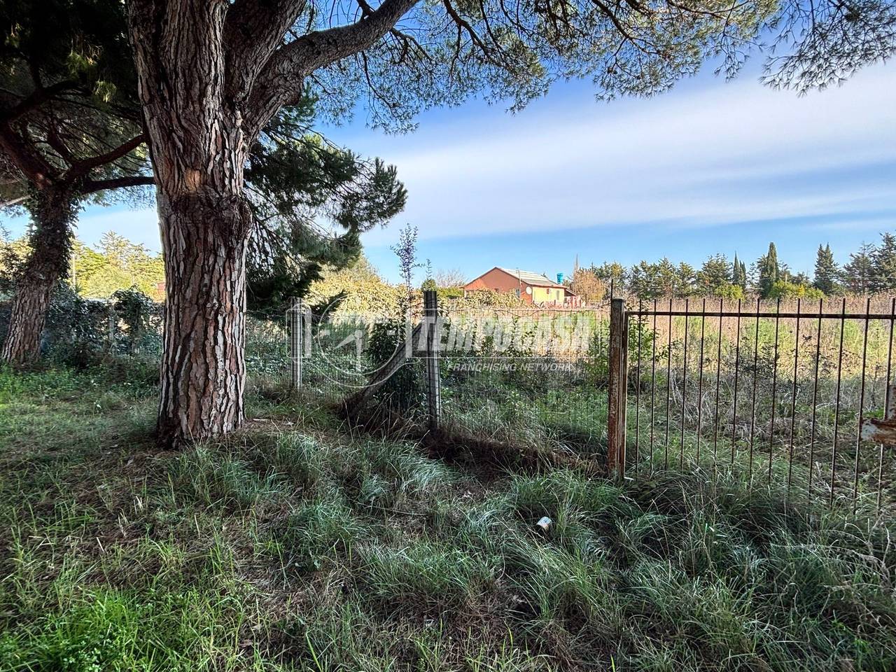 immagine annuncio 4 di 7