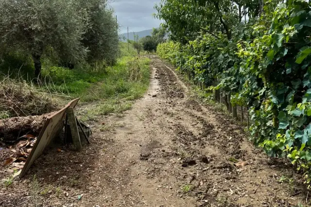 Terreno agricolo in {3}, - Foto 1