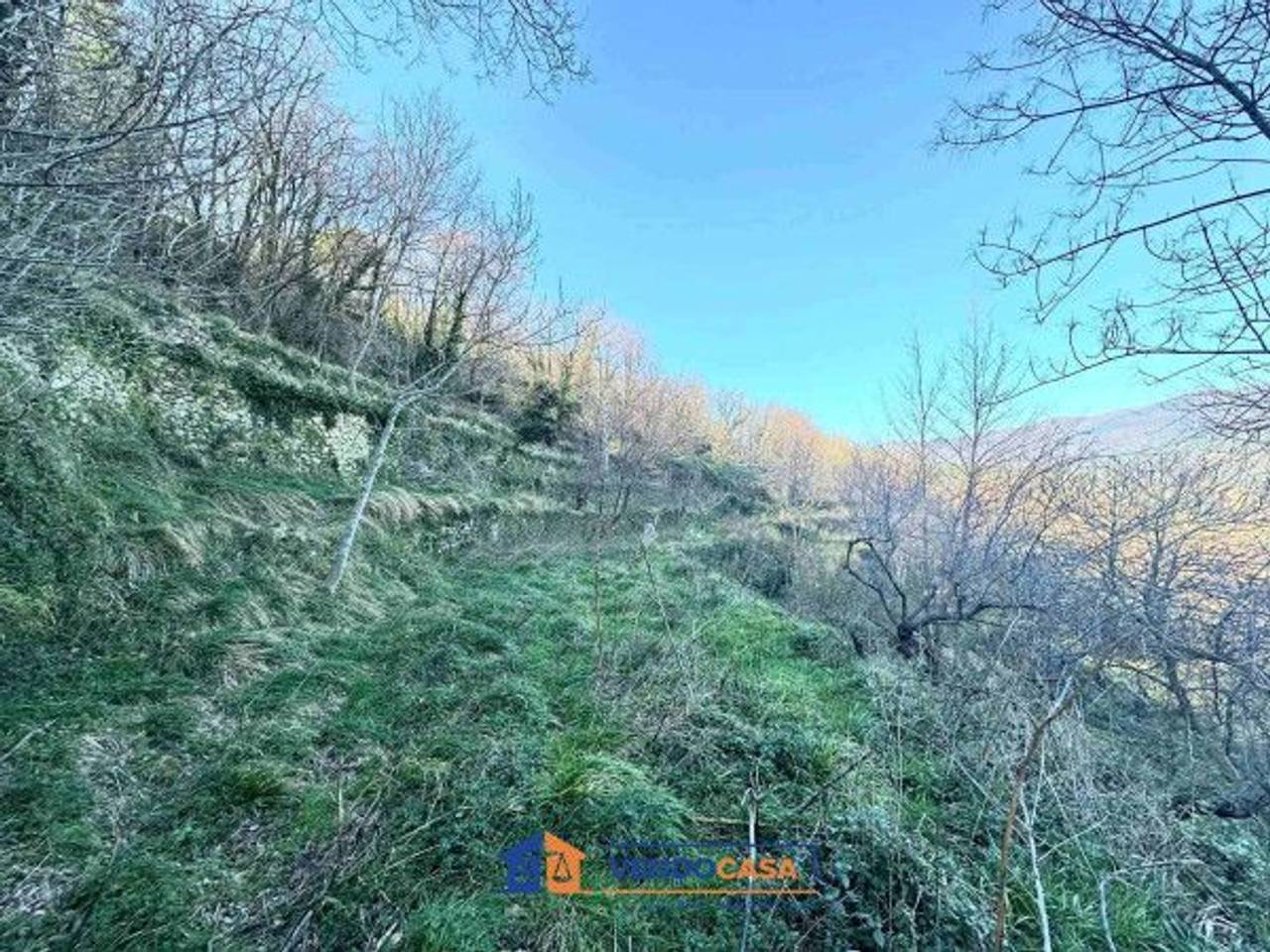 immagine annuncio 2 di 7