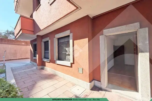 insertion image