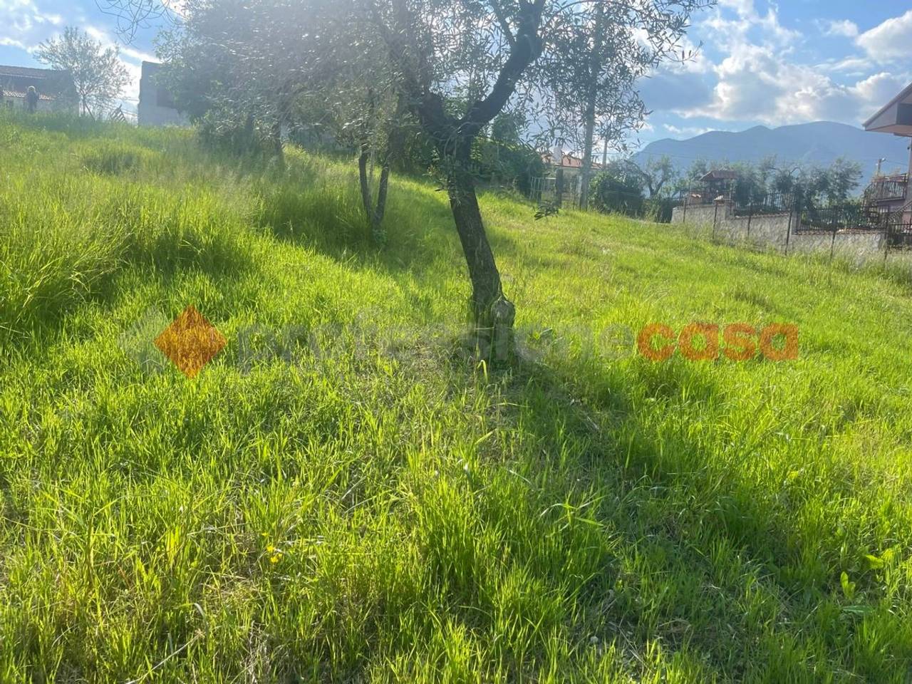 immagine annuncio 10 di 11