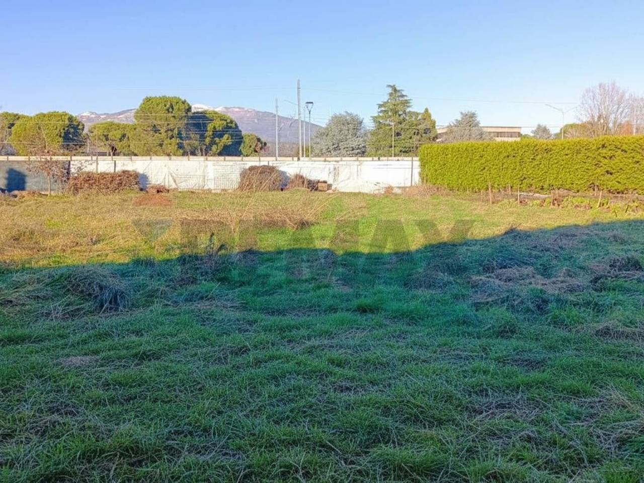 immagine annuncio 4 di 6