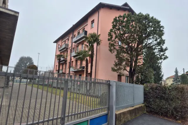 insertion image