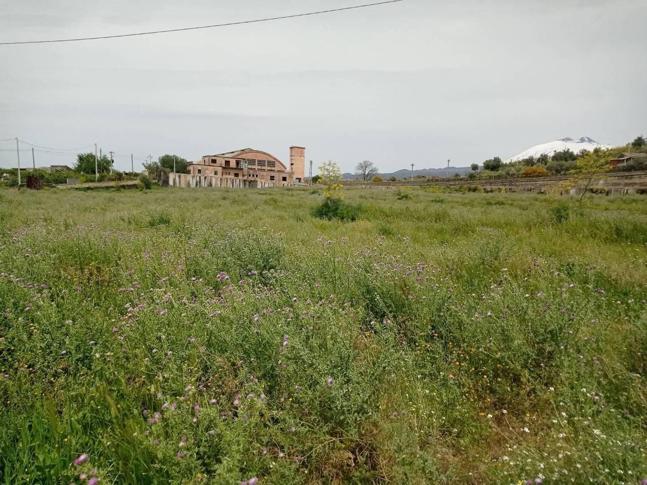 immagine annuncio 5 di 8