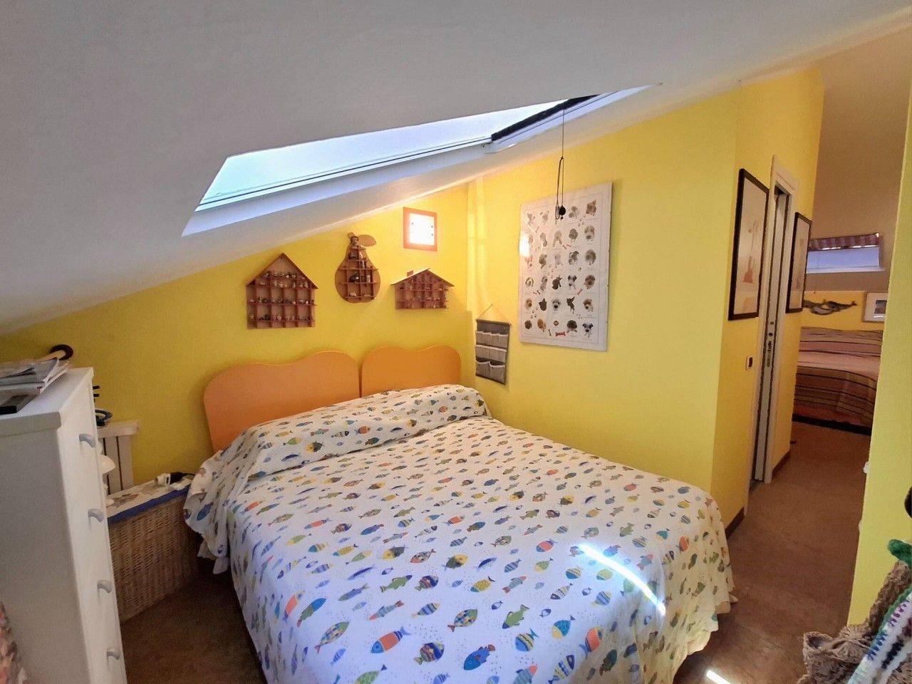 immagine annuncio 8 di 14