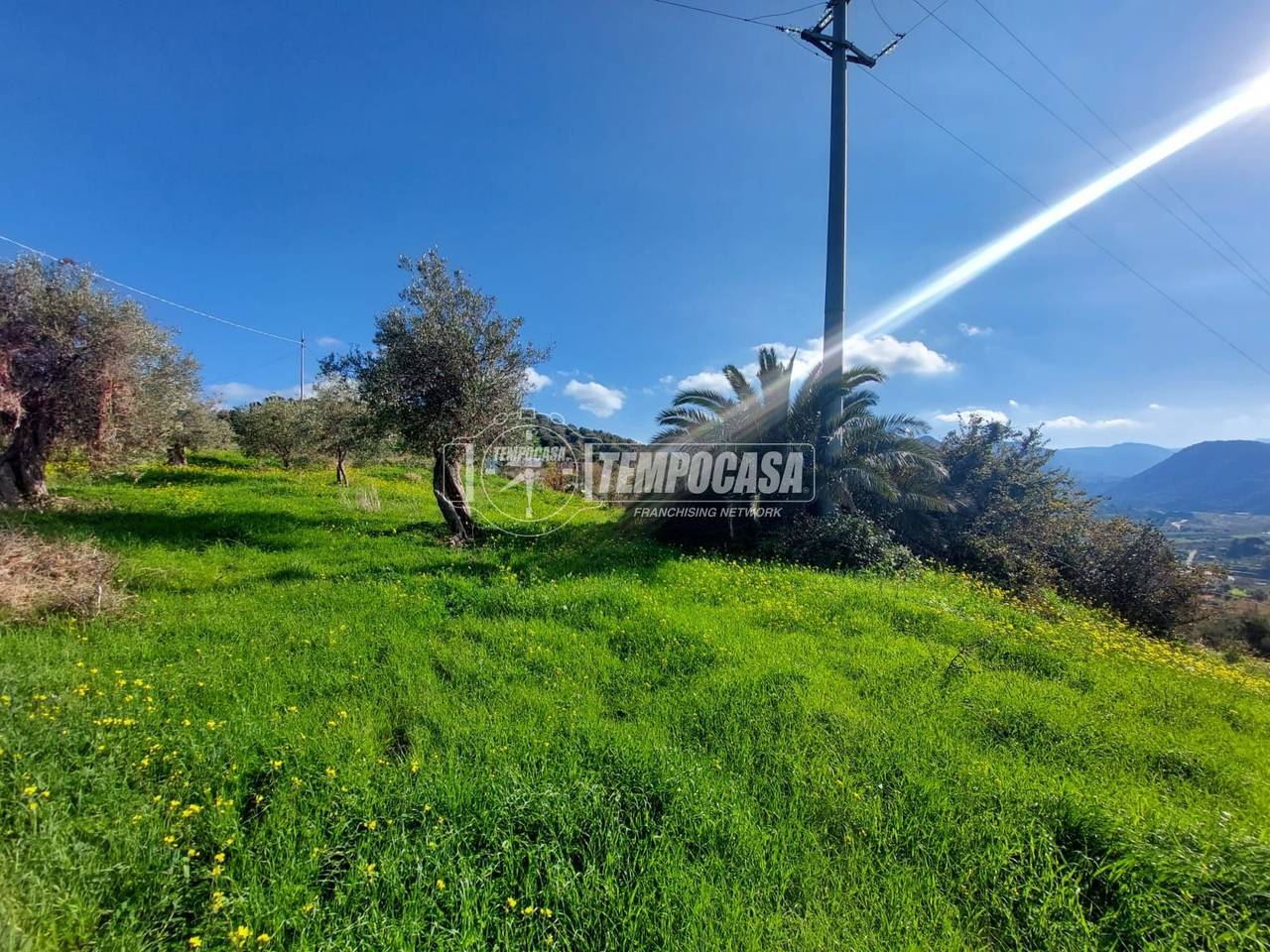 immagine annuncio 2 di 12