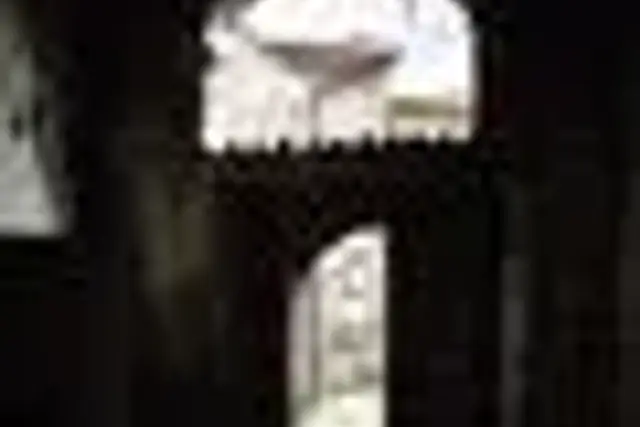 insertion image