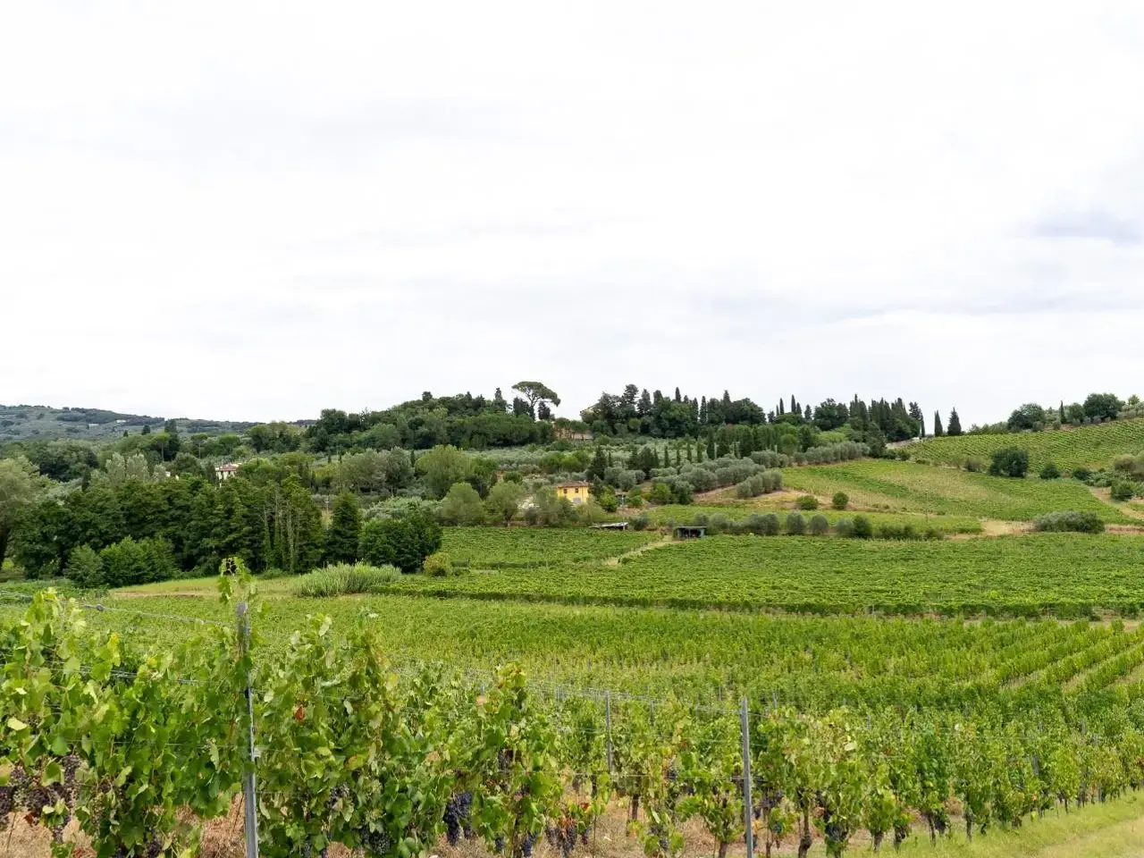 Azienda agricola in 50059 Sant'Ansano Fi 50059, Vinci, {3} - Foto 1