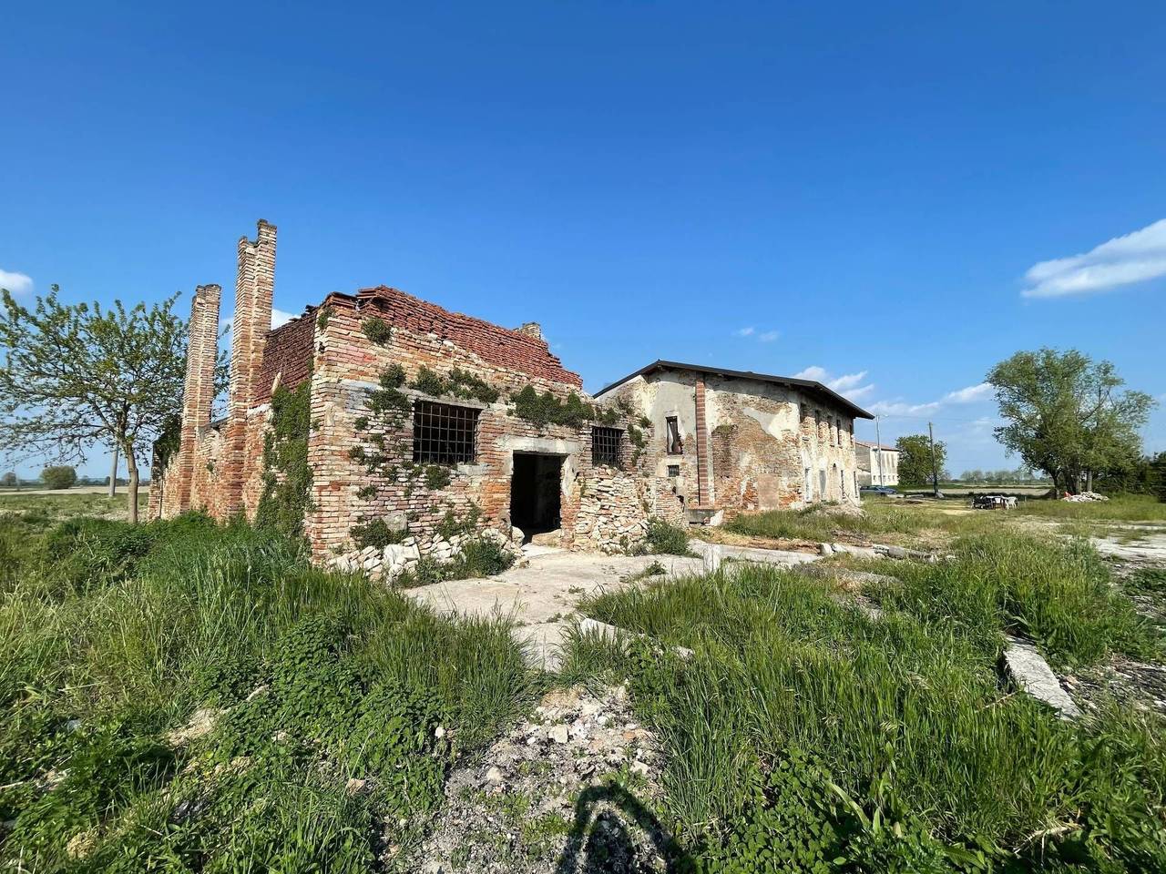 immagine annuncio 2 di 14