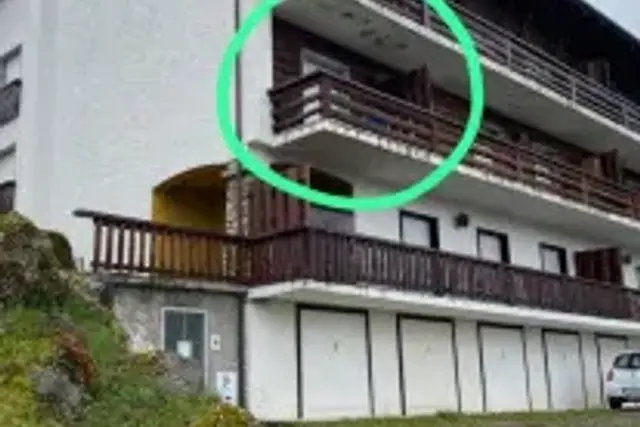 insertion image
