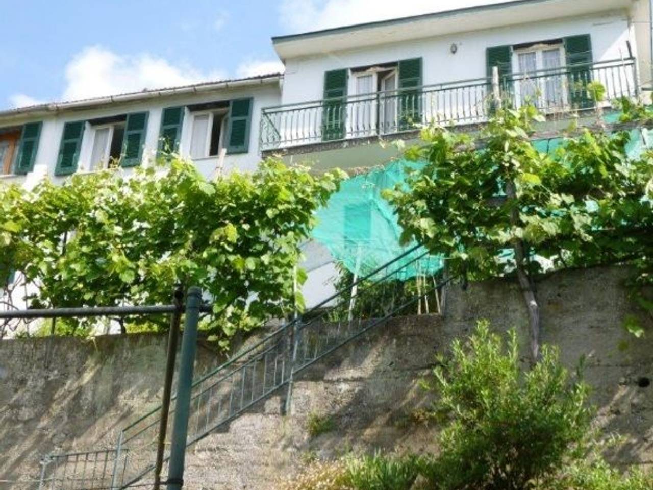 immagine annuncio 1 di 12