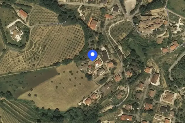 insertion image