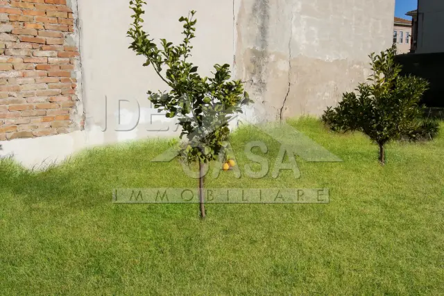 insertion image