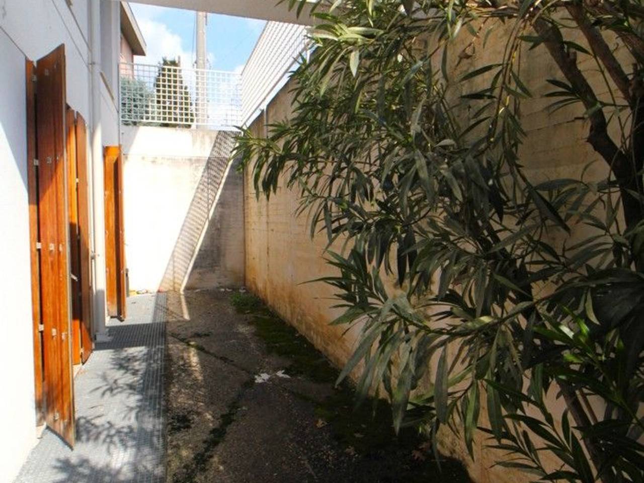 immagine annuncio 7 di 14