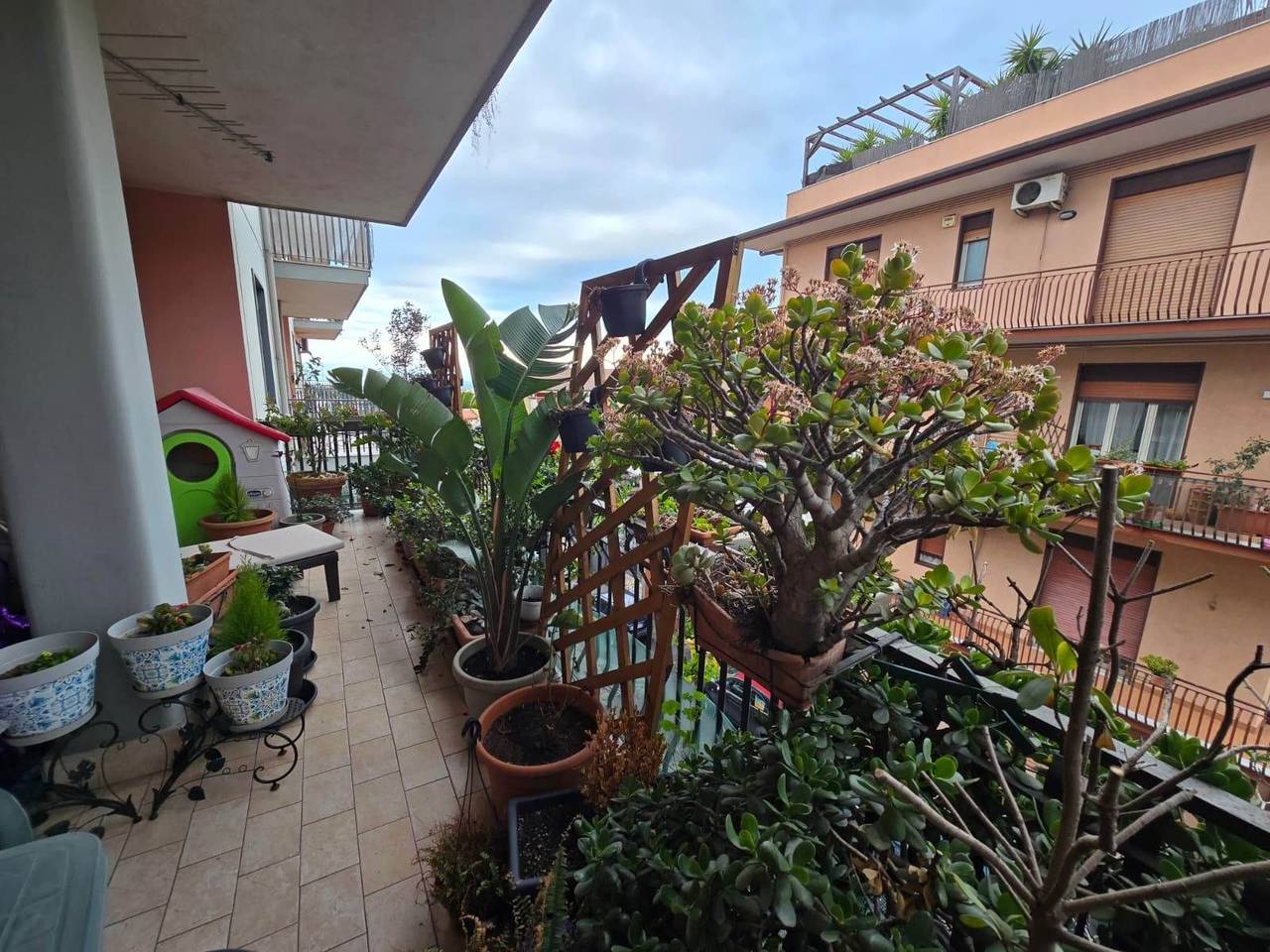 immagine annuncio 5 di 15