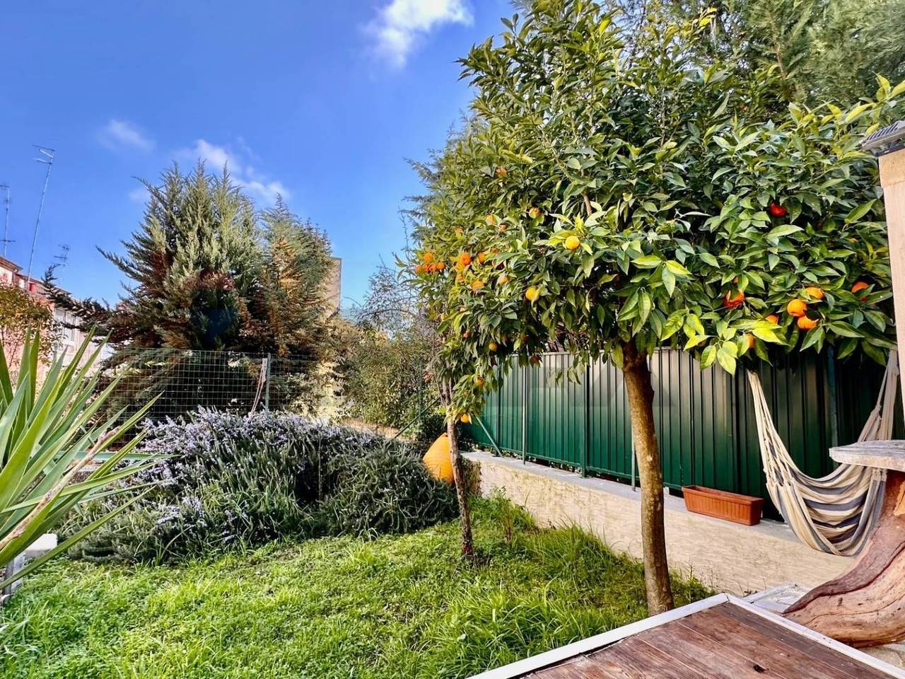 immagine annuncio 2 di 15