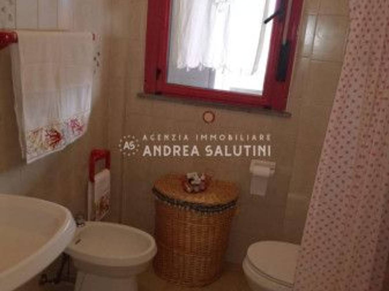 immagine annuncio 7 di 14