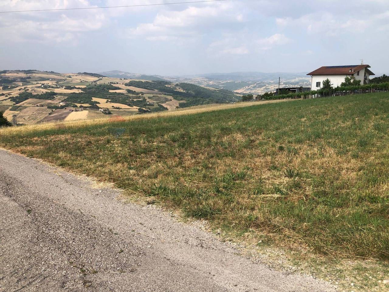 immagine annuncio 5 di 12