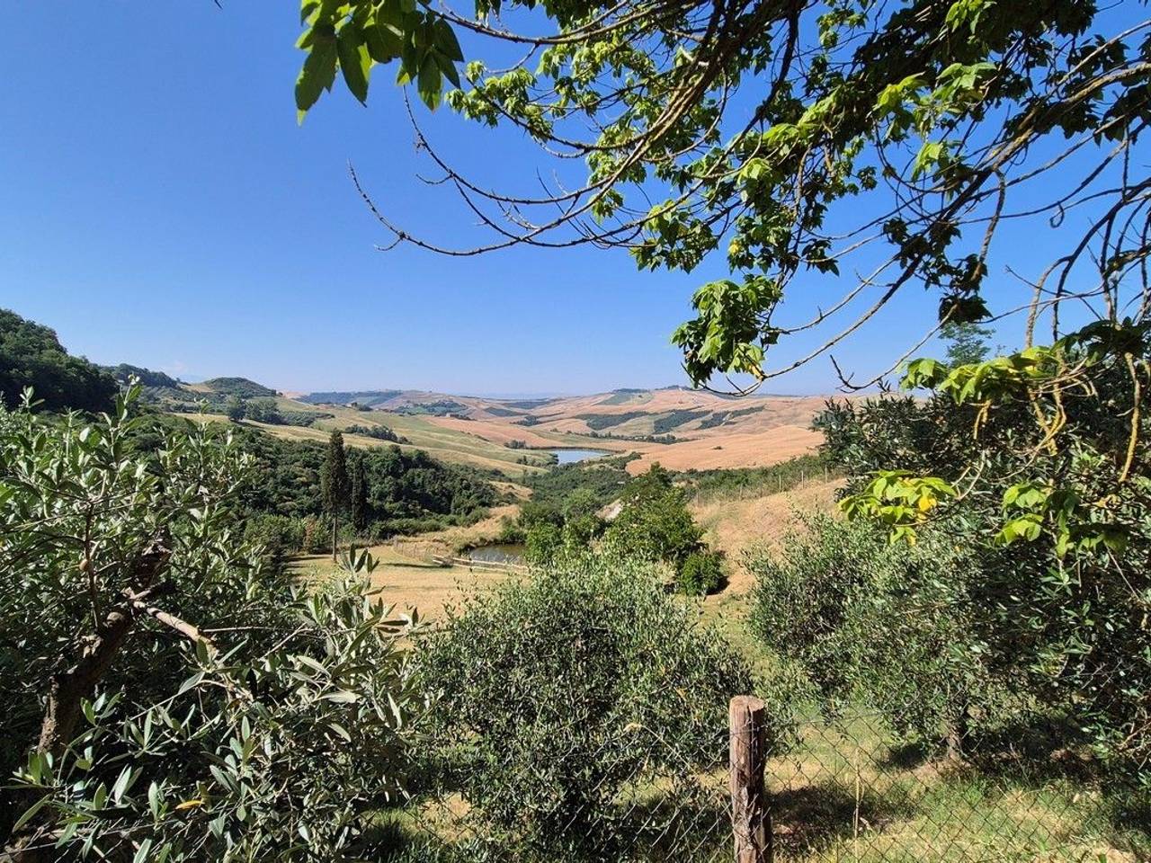 immagine annuncio 6 di 14