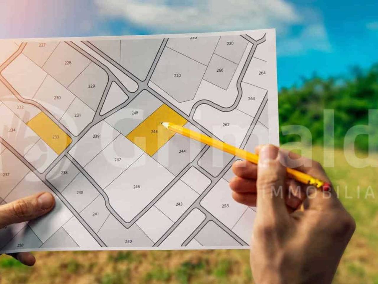 immagine annuncio 1 di 4