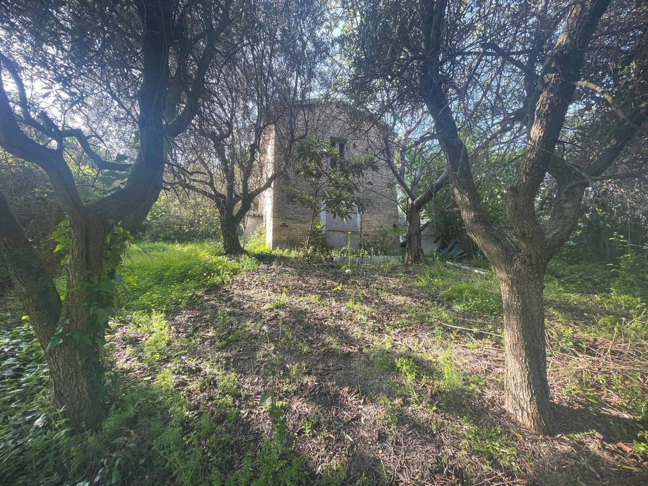 immagine annuncio 1 di 11