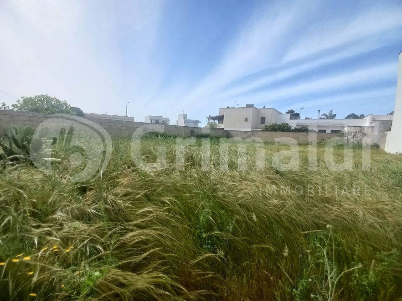 immagine annuncio 2 di 12