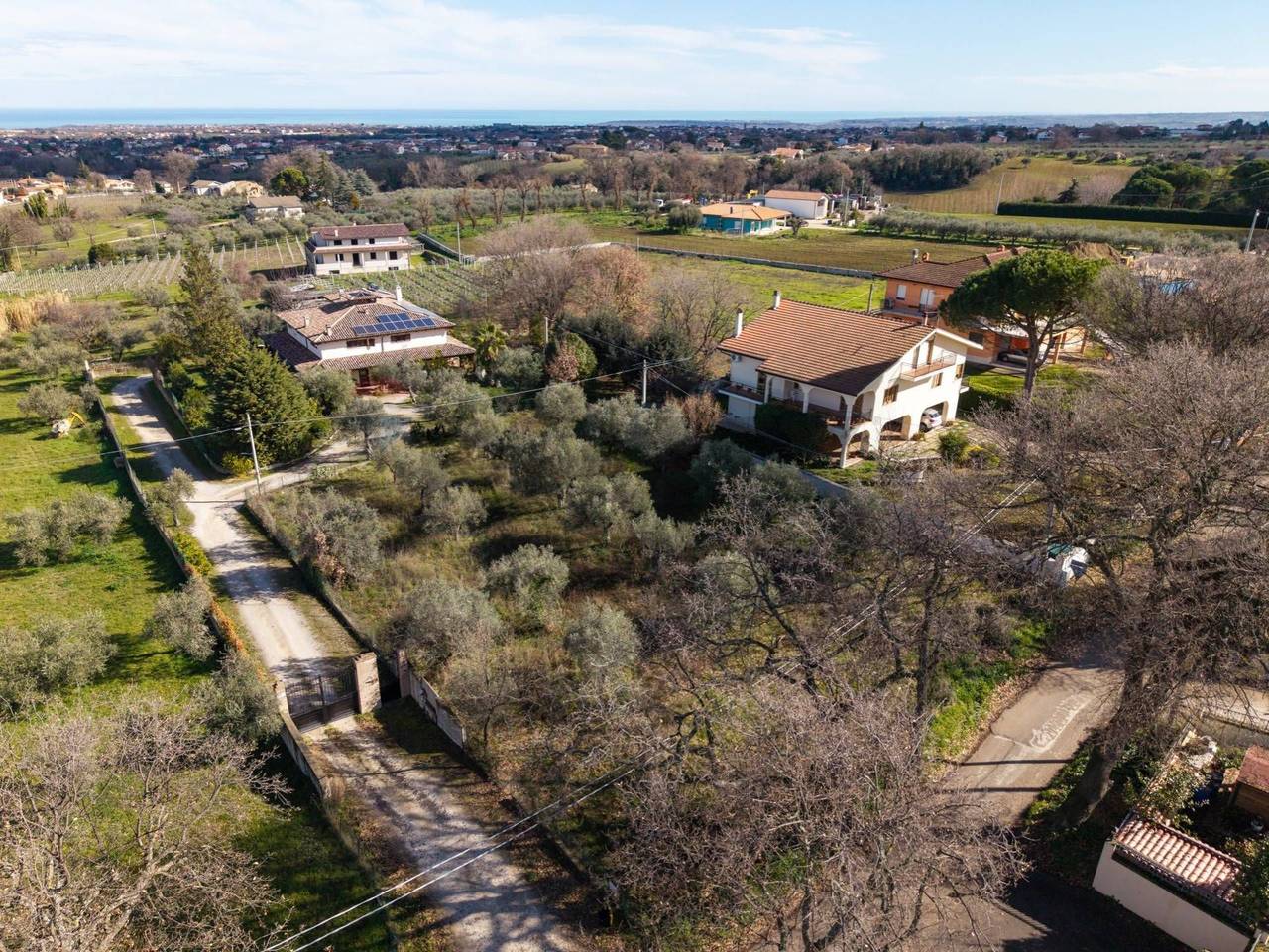 immagine annuncio 3 di 8