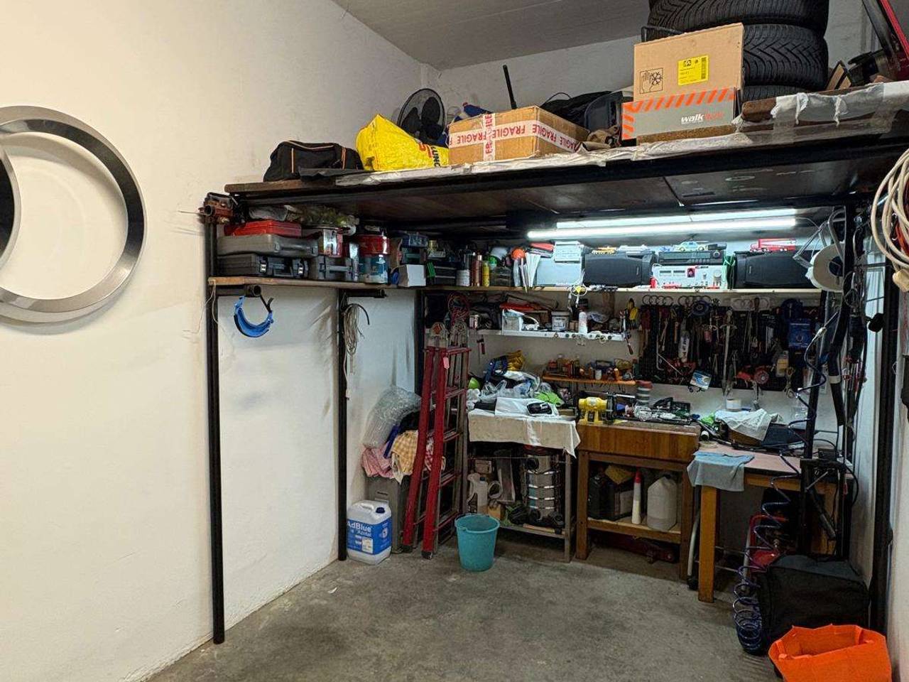 immagine annuncio 5 di 8