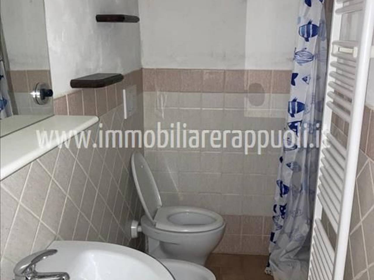 immagine annuncio 10 di 12