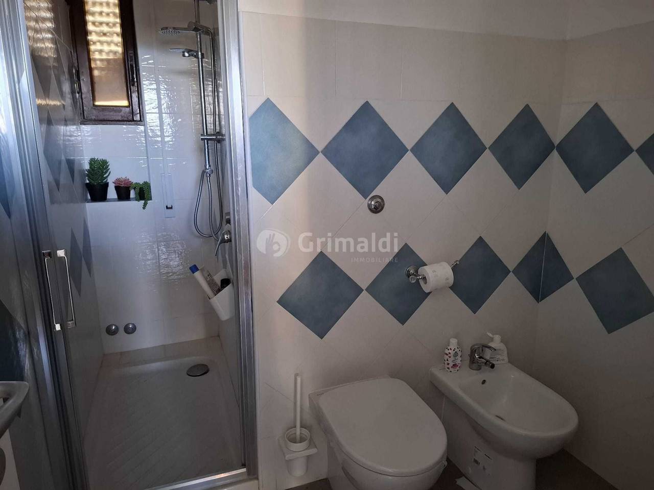 immagine annuncio 11 di 14