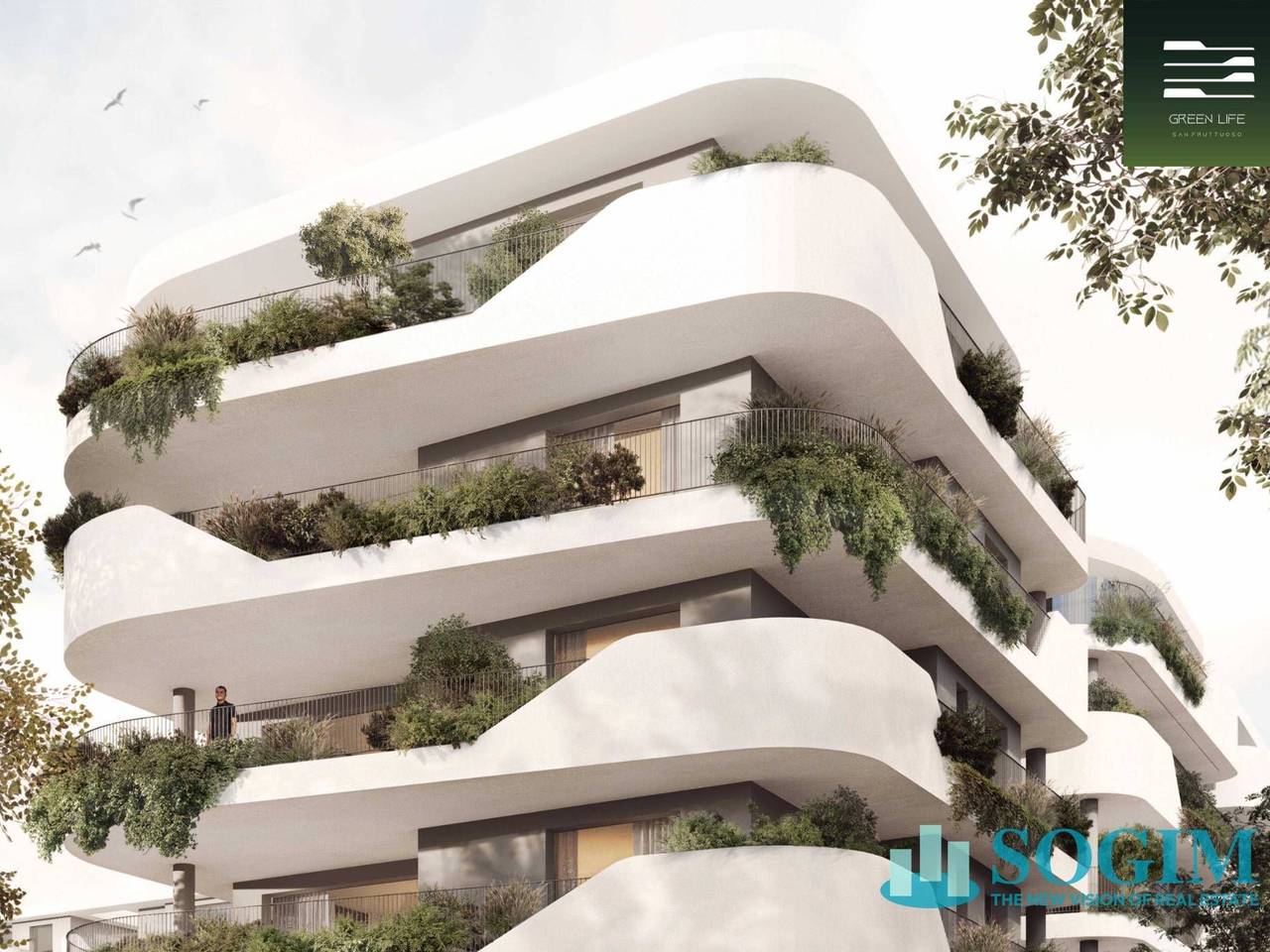 immagine annuncio 1 di 9