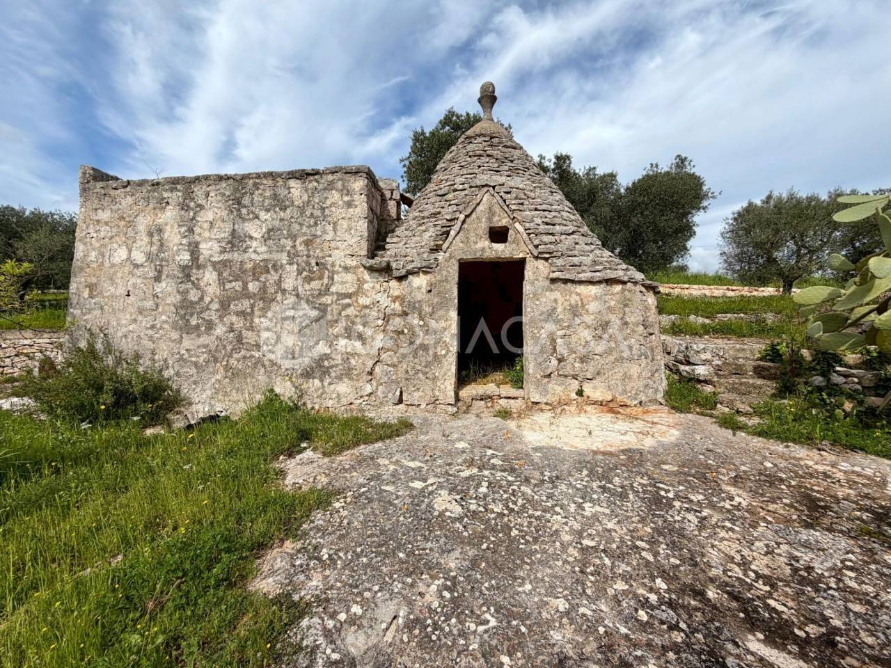 immagine annuncio 1 di 11