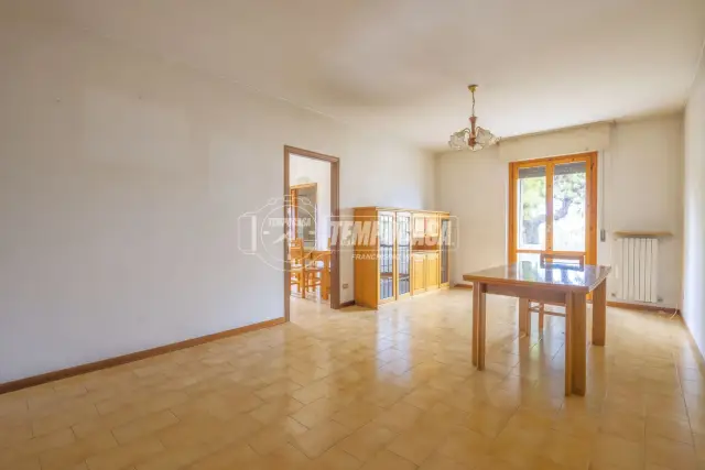 Quadrilocale in vendita, Strada del Castellaro 85/B, Senigallia - Foto 1