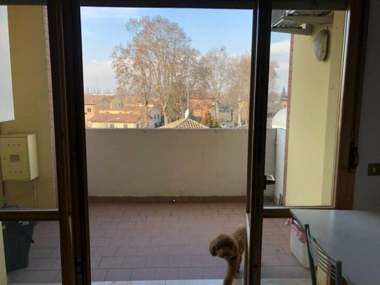 immagine annuncio 2 di 11