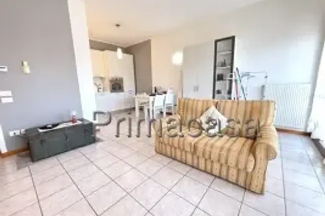 insertion image