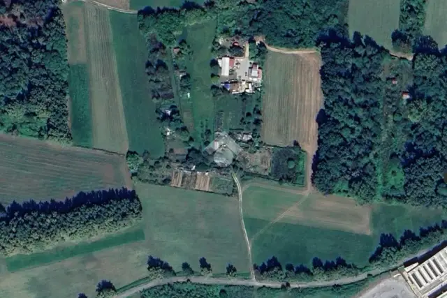 insertion image