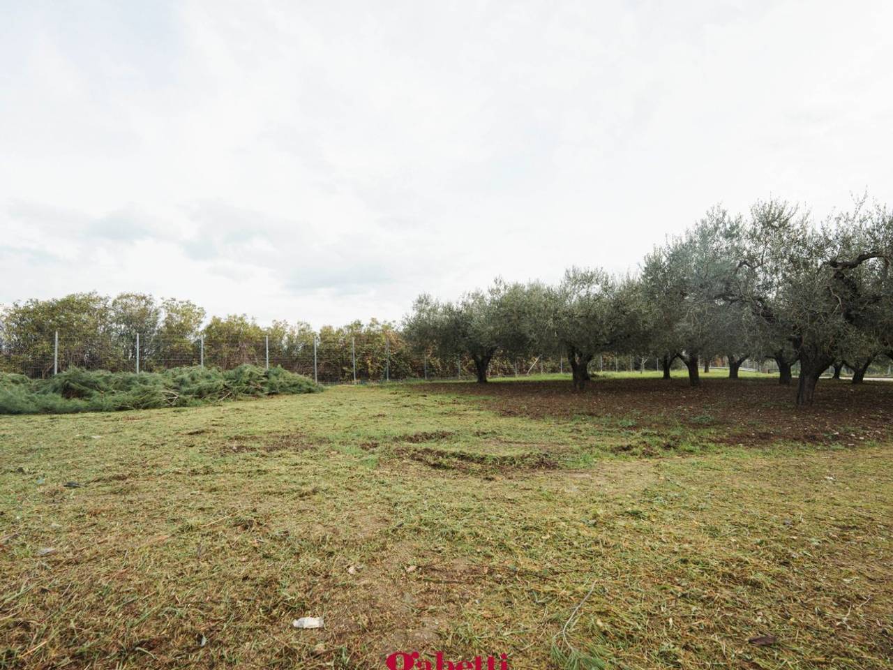 immagine annuncio 6 di 11