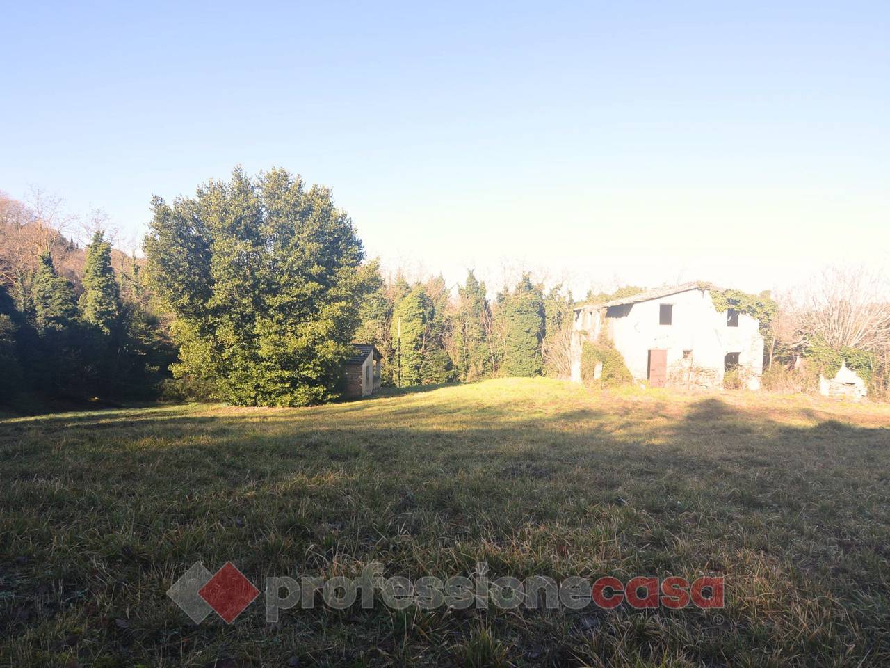 immagine annuncio 2 di 11