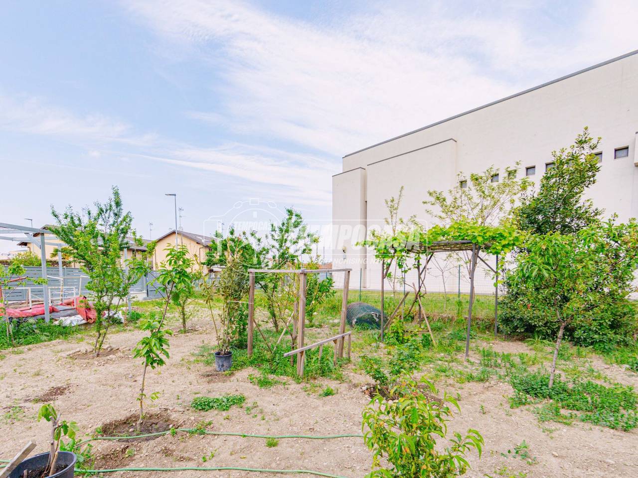 immagine annuncio 4 di 7