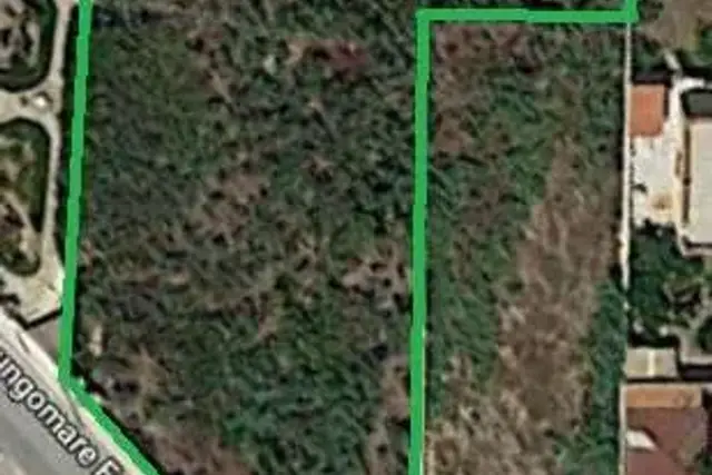 insertion image
